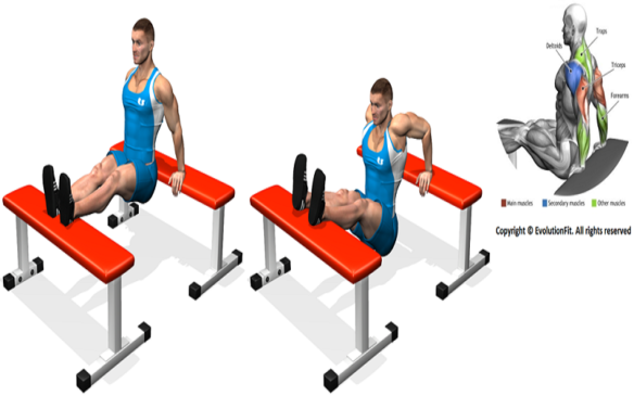 3. taurhoiotakappaphialphalambdaomicroniota_zpsrlctkssh