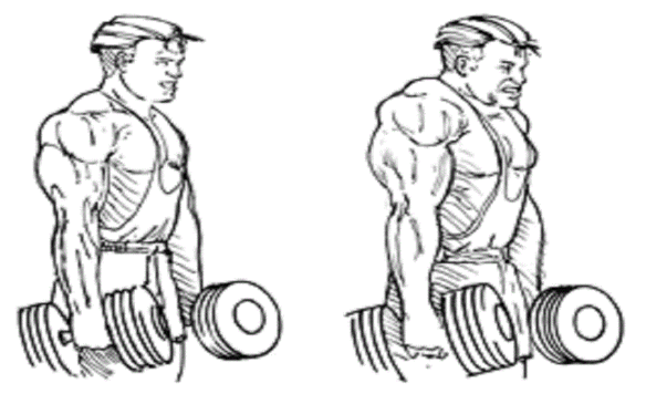 shoulder_shrugs