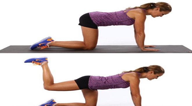 6b0fef282ccd0c21_donkey-kicks